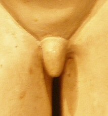 Dali sculpture's penis