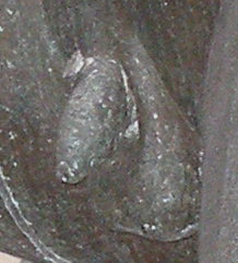 penis of youth on Fontana delle Tartarughe in Rome