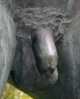 Father's penis by Gustav Vigeland