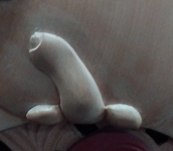 Rongomatāne's penis Rongomatāne's penis