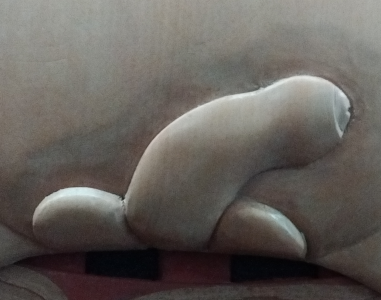 Tāwhirimātea's penis Tāwhirimātea's penis