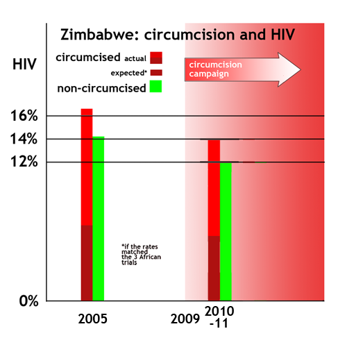 Zimbabwe: circumcision fails to protect - graph