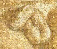 Paul Camus ''Nude Drawing" detail