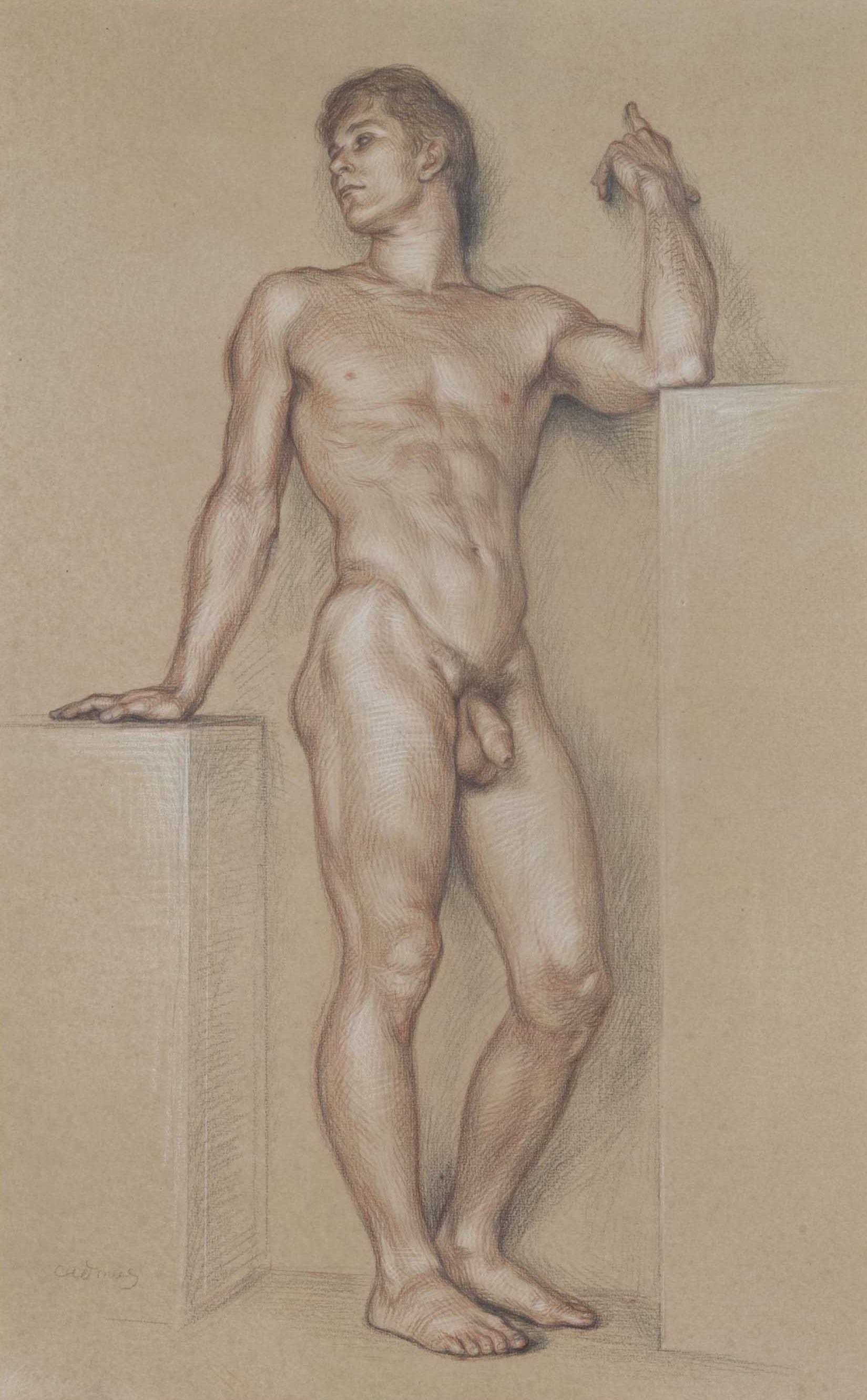 Paul Cadmus ''Standing youth''