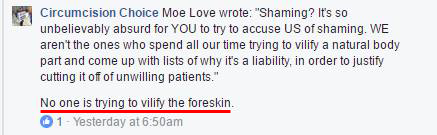''No one is trying to vilify the foreskin''