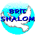 animated Brit Shalom logo