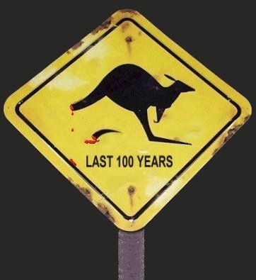 De-tailed kangaroo roadsign