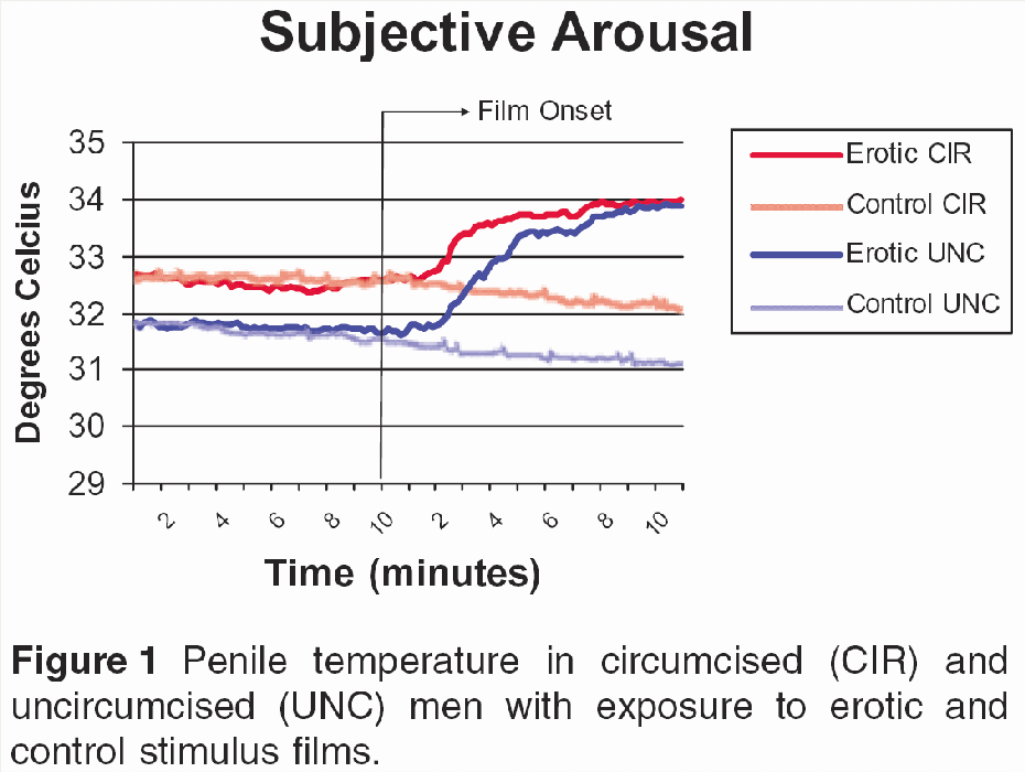 Graph of temperature rise on showing eroitc film to circumcised and intact men - the intact start lower, but reach the same temperature